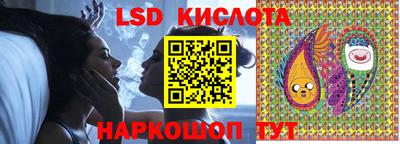 амф Гусев