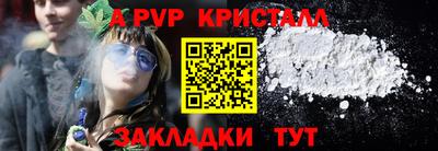 амф Гусев