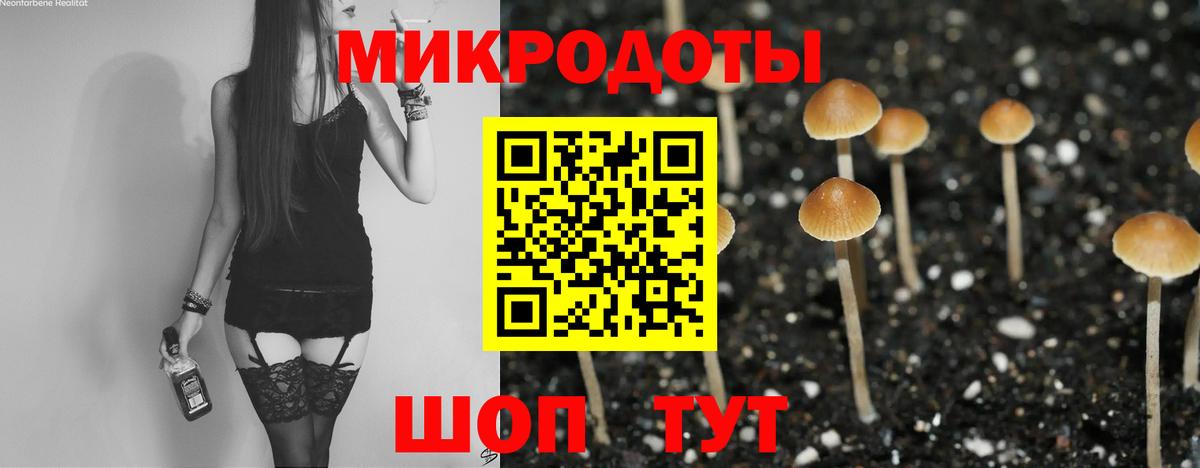 Псилоцибиновые грибы Psilocybe Сибай